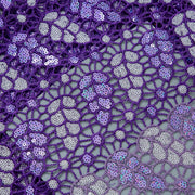 [codex-media-16] Afarican Guipure Cord Lace Fabric with Sequins, Nigerian Water Soluble Lace Fabric for Sewing Party Dresses image 17